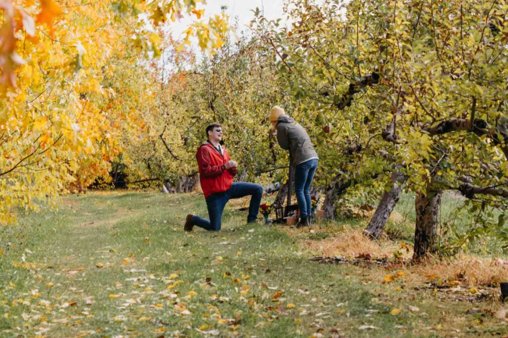 Lull Farm Proposal and Engagement Session in Hollis, New Hampshire